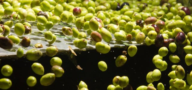 The Olive Mill